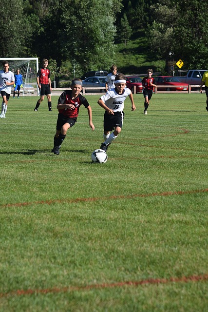 雷火电竞官网入口